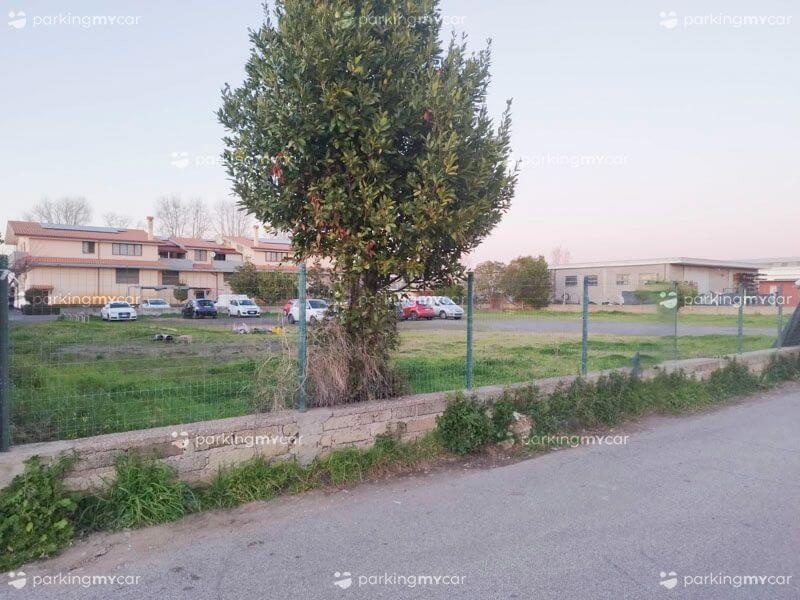 Italy Parking - Aeroporto Fiumicino Recinzione con albero Italy Parking - Aeroporto Fiumicino